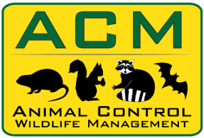 Animal Control Management Florida